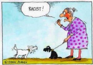 Stupid-Racist-Joke